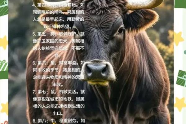 五行属火的特质与命运解析，助你找到人生方向