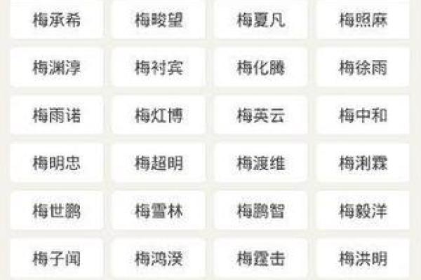 梅字入名，展现独特气质的最佳选择