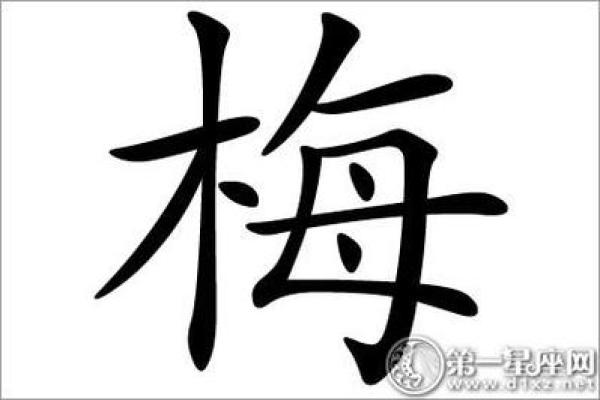 梅字入名，展现独特气质的最佳选择