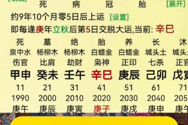 八字命理中子女星的影响力：揭开孩子命运的神秘面纱