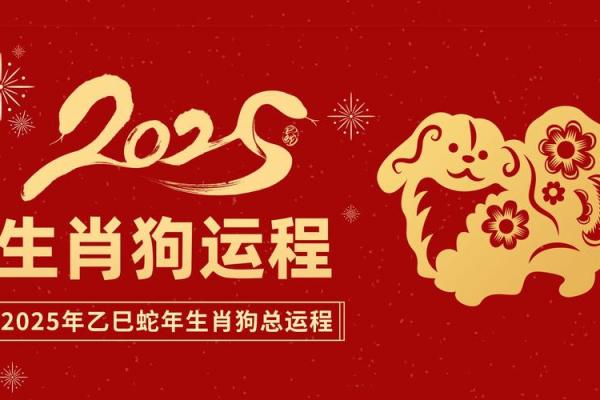 狗年命格：揭秘生肖狗的运势密码