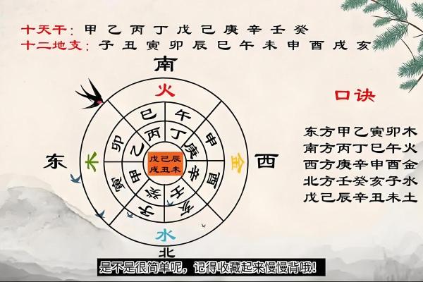 探索天干辛金的五行特性