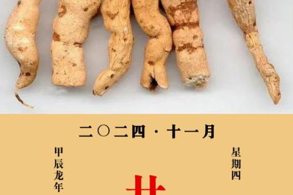 五行学说中的甘字解析，究竟属什么？