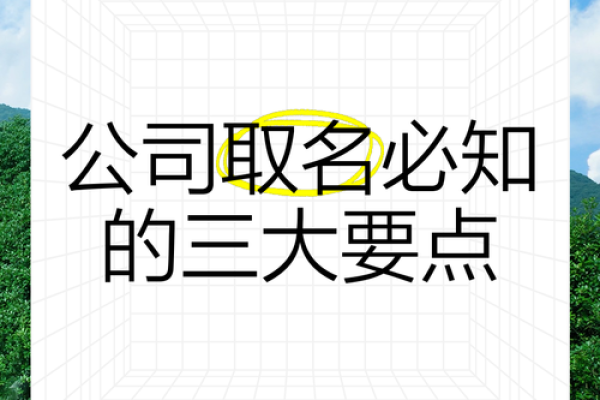 配送公司起名不再难！这几个方法你必须知道