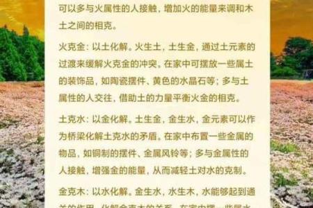 敏五行属性是什么？揭秘其背后的深层含义