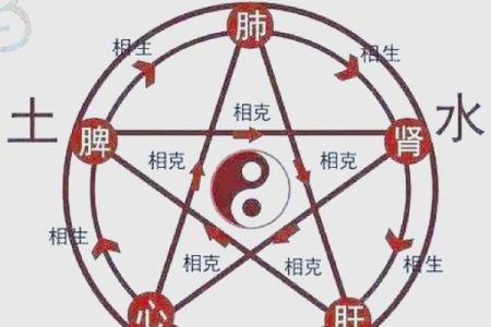 揭秘：五行中己到底属什么？