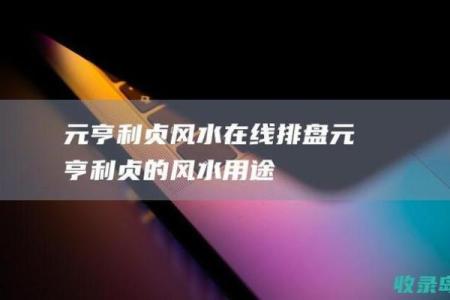 元亨利贞梅花排盘软件助你揭开命运的神秘面纱