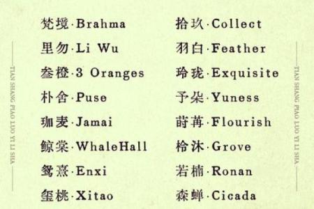 如何为公司取一个吸引人的英文名字