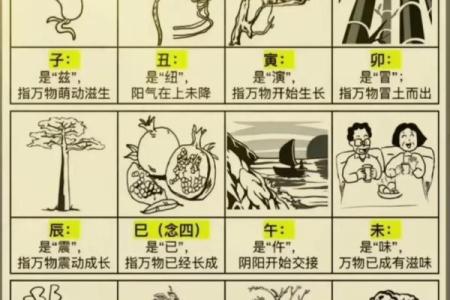 木的天干如何影响你的性格与运势