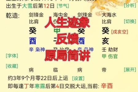 揭秘八字金命的秘密：如何抓住财运亨通的一年