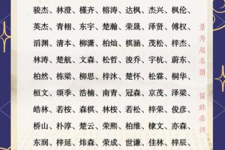 于姓男孩取名宝典：最适合男孩的独特名字推荐