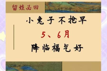 年属兔啥命？揭秘兔年出生的你命运之谜
