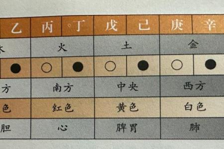掌握行字五行，轻松改善生活中的每一个细节