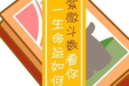 科技紫薇命盘免费排盘，助你掌握人生关键