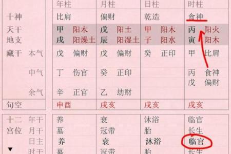 八字时柱在命理中的关键作用