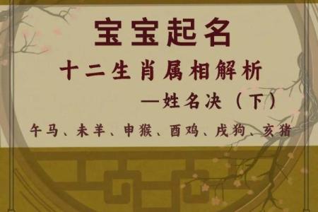 生肖鸡宝宝如何起名才能更好地带来运势