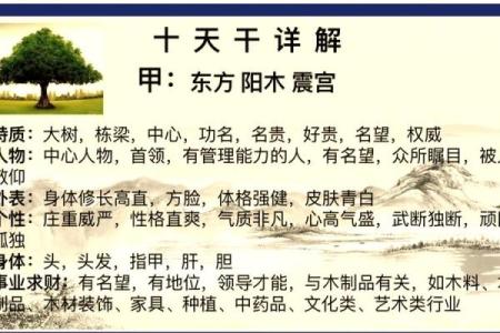 奇门天干背后的玄机，如何运用改变人生