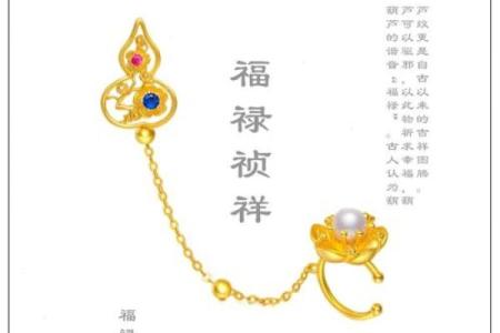 芦起名字大解析，打破传统，给你独特的名字灵感