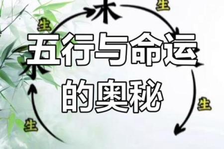 00年五行命理揭秘：你的命运之谜揭晓