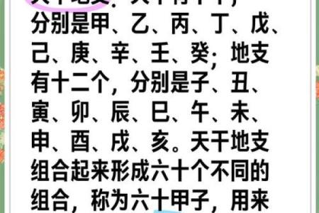 深入分析天干甲己合背后的命理奥秘