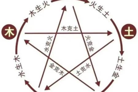 严字五行揭秘，如何在命理中发挥最大作用