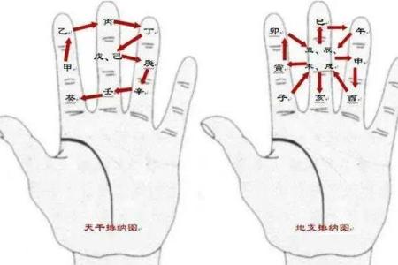 纳甲排盘分析：解读你的命运轨迹与未来机遇