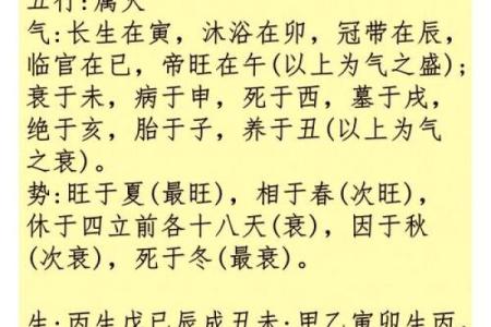 乙未天干的命运解析，你必须知道的秘密