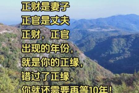 揭秘姻缘天干：如何通过八字了解爱情运势