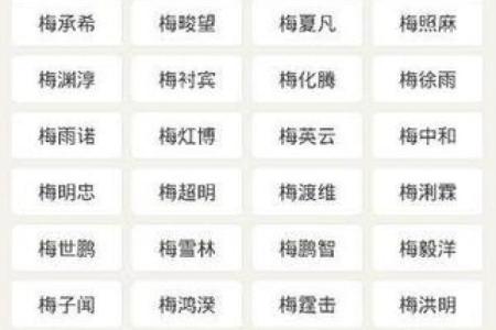 梅字入名，展现独特气质的最佳选择