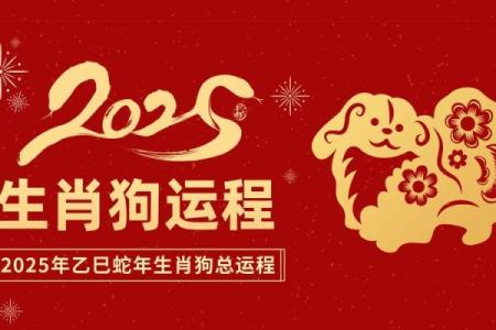 狗年命格：揭秘生肖狗的运势密码