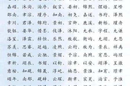 李宝宝起名全攻略：挑选最适合的名字秘籍