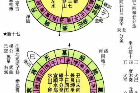 柏树在五行中占据何位？了解它的五行属性