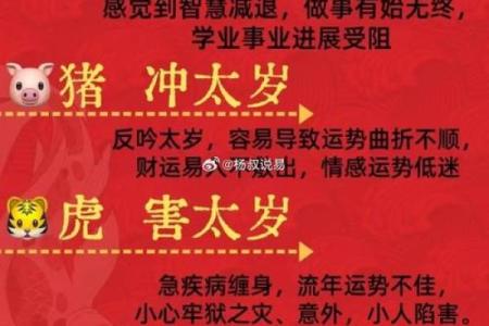 揭秘丁己命：探寻生肖中的神秘力量