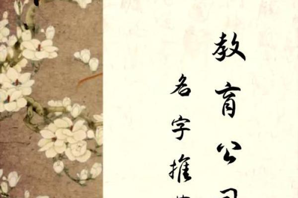 班级命名大揭秘：这些名字让你成为全校焦点