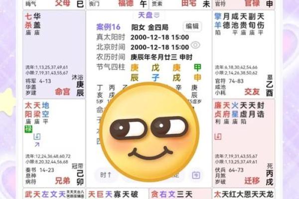 揭秘紫微斗数排盘格局，如何解锁命运的奥秘