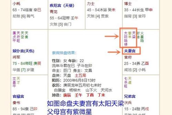 夭天干解析，你的命运是否已经注定？
