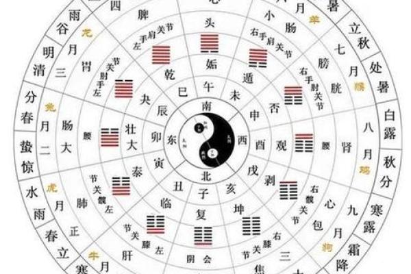 掌握六爻排盘手工指定方法，解锁命理奥秘