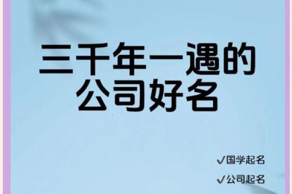 选择司起名网，轻松提升公司形象