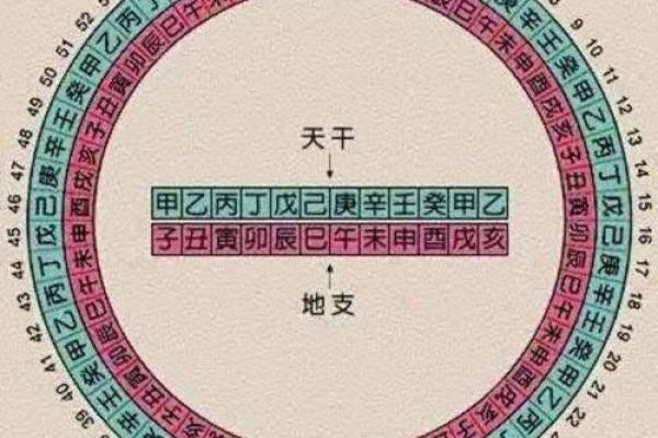 从天干到生肖，命运如何改变