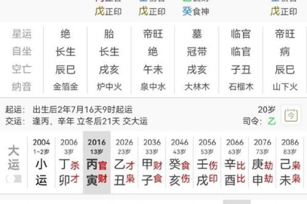 排盘系统排名揭秘，最适合你的究竟是哪一款？