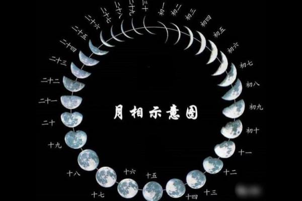 年解月解解析：如何通过紫微排盘洞察未来运势