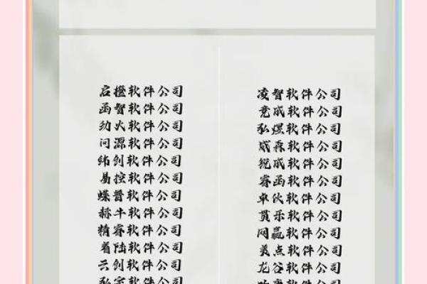 让名字说话：为软件公司挑选完美名称的秘诀