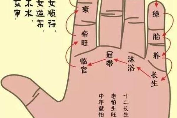 八字马星揭秘：如何运用它提升个人运势