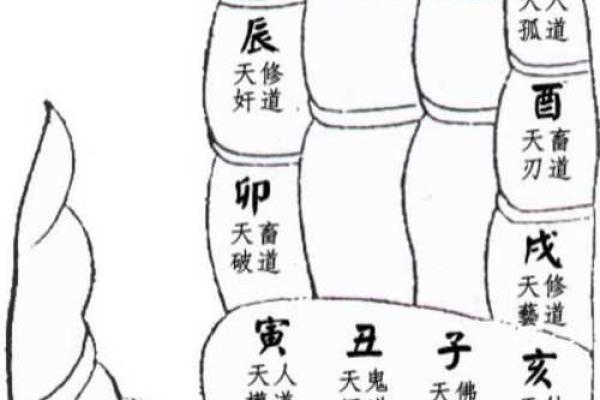 神马六二软件金口诀排盘，让你轻松预测未来