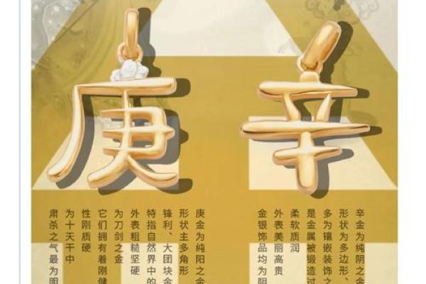 怡五行属性与命运的奇妙联系