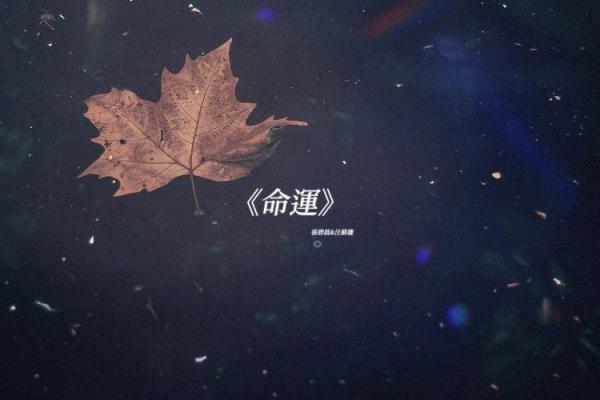 命运之谜：揭秘为何有些人注定孤寡一生