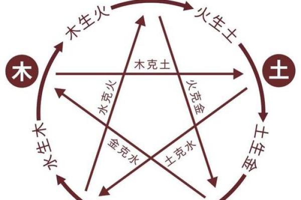天干地支与五行的深度解析，揭开古老智慧的面纱