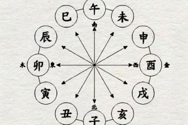天干地支与五行的深度解析，揭开古老智慧的面纱