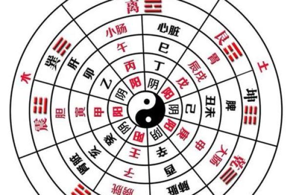 揭示天干戊葵合与运势起伏的关联
