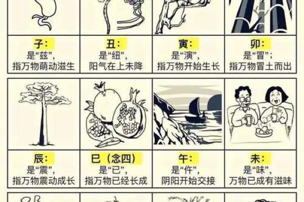 看透地支天干，掌握命运走向的关键